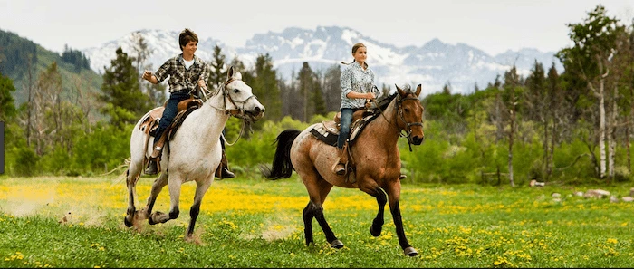 Confident plus-size woman riding Wilmslow a horse through a field with a smile on her face.